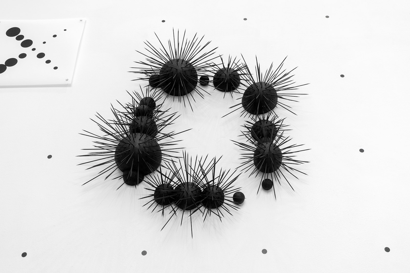 Imagen de Embodied Type